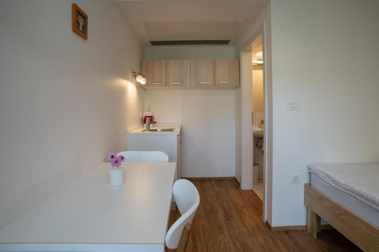 Accommodation Baron 卢布尔雅那 外观 照片
