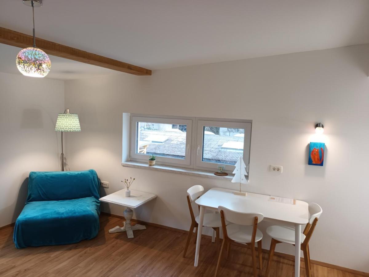 Accommodation Baron 卢布尔雅那 外观 照片
