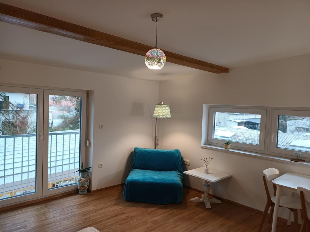 Accommodation Baron 卢布尔雅那 外观 照片