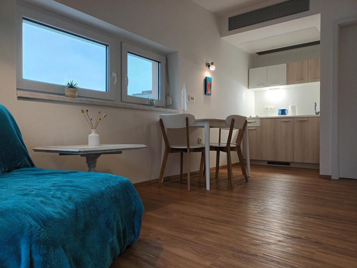 Accommodation Baron 卢布尔雅那 外观 照片