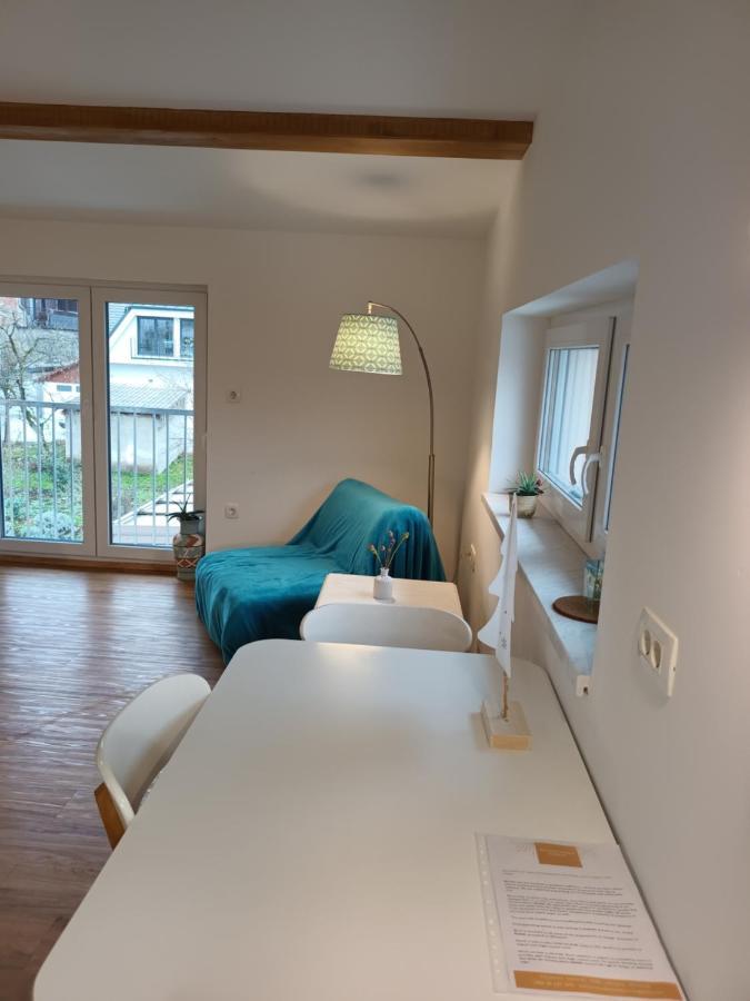 Accommodation Baron 卢布尔雅那 外观 照片