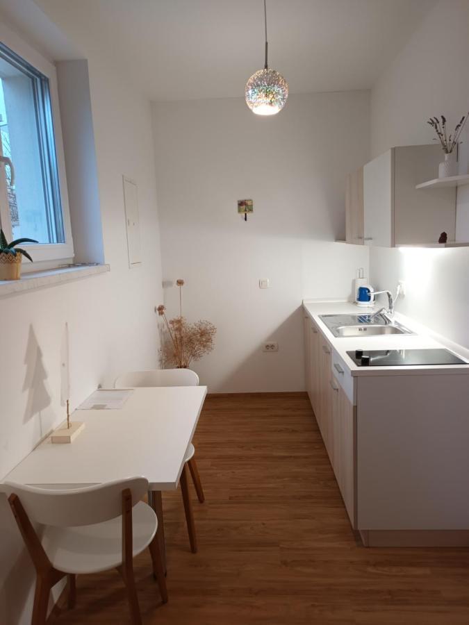 Accommodation Baron 卢布尔雅那 外观 照片