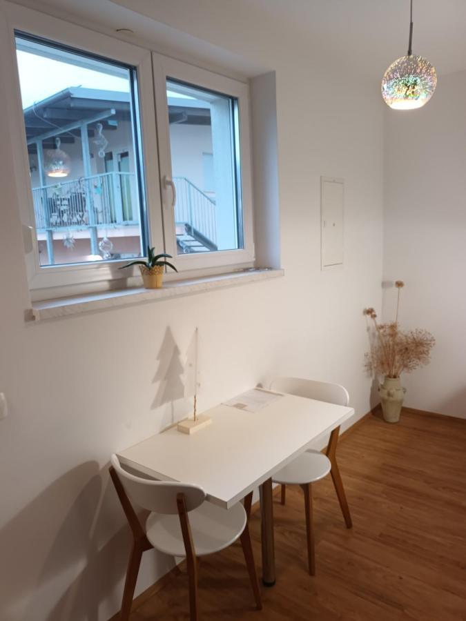 Accommodation Baron 卢布尔雅那 外观 照片